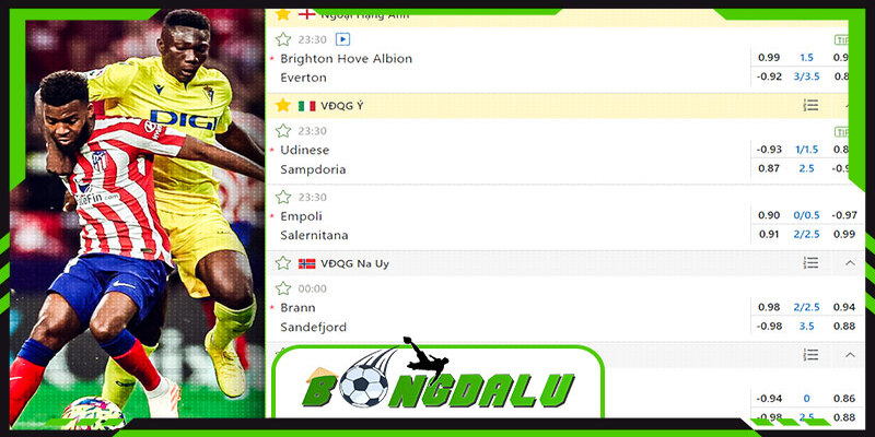 Tìm hiểu về kho dữ liệu Bongdalu