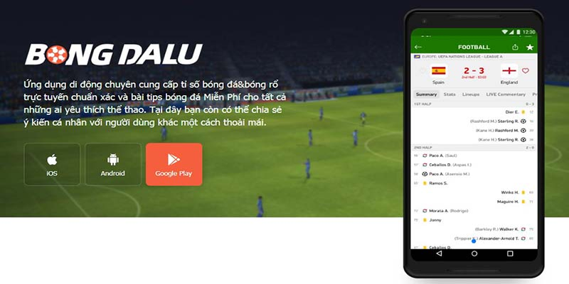 Bong bong lu cập nhật lịch thi đấu nhanh và chính xác